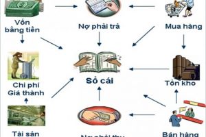 Các Công Việc Của Kế Toán: Tầm Quan Trọng và Công Đoạn Chi Tiết