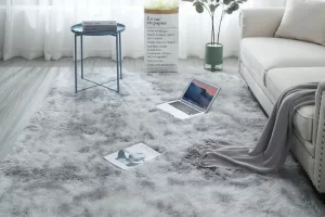Xu Hướng Sử Dụng Thảm Trải Sàn Trong Thiết Kế Nội Thất Hiện Đại