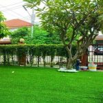 Thảm Cỏ Nhân Tạo Hà Nội – Giải Pháp Hoàn Hảo Cho Không Gian Xanh