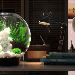 Top những mẫu bể cá thủy sinh đẹp nhất 2025 bạn không thể bỏ qua