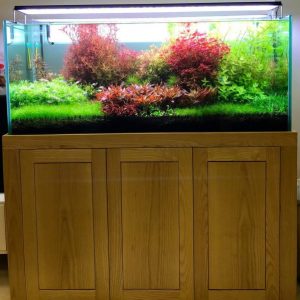 Cách Chọn Bể Cá Chân Tủ Phù Hợp