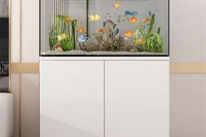 Bể cá nước mặn đẹp: Lựa chọn hoàn hảo cho không gian sống sang trọng