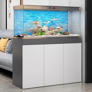 Bể Cá Chân Tủ Là Gì?
