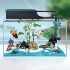 Tầm quan trọng của phụ kiện bể cá cảnh