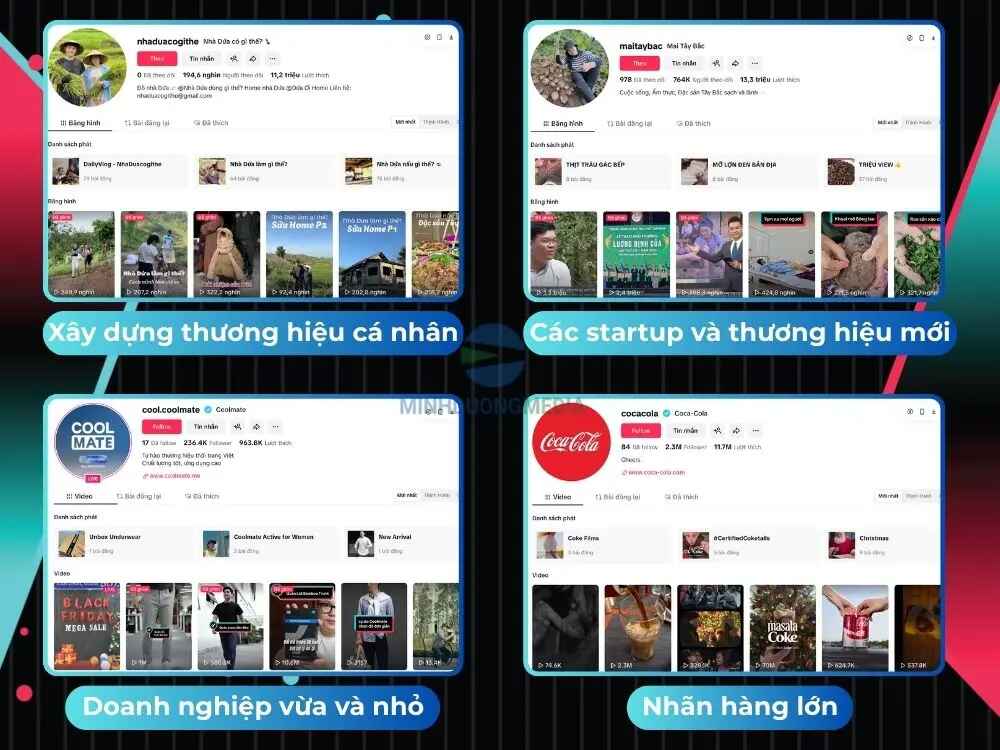 Những ai nên chạy quảng cáo Tiktok?
