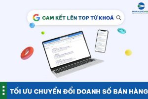 Giới thiệu dịch vụ quản trị Web cam kết lên TOP ổn định, bền vững