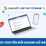 Dịch vụ quản trị Website trọn gói chuẩn SEO, cam kết lên TOP